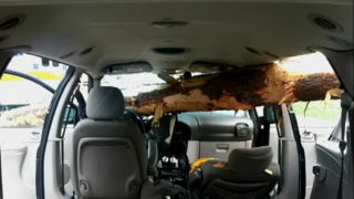 Illustration for article titled See Frightening Pictures Of A Minivan Impaled By A Log